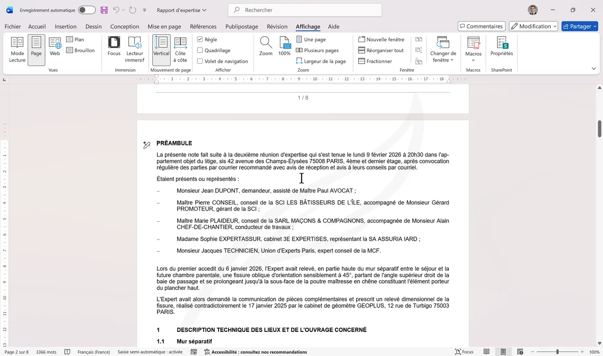 Onglet Affichage avec la case Règle cochée