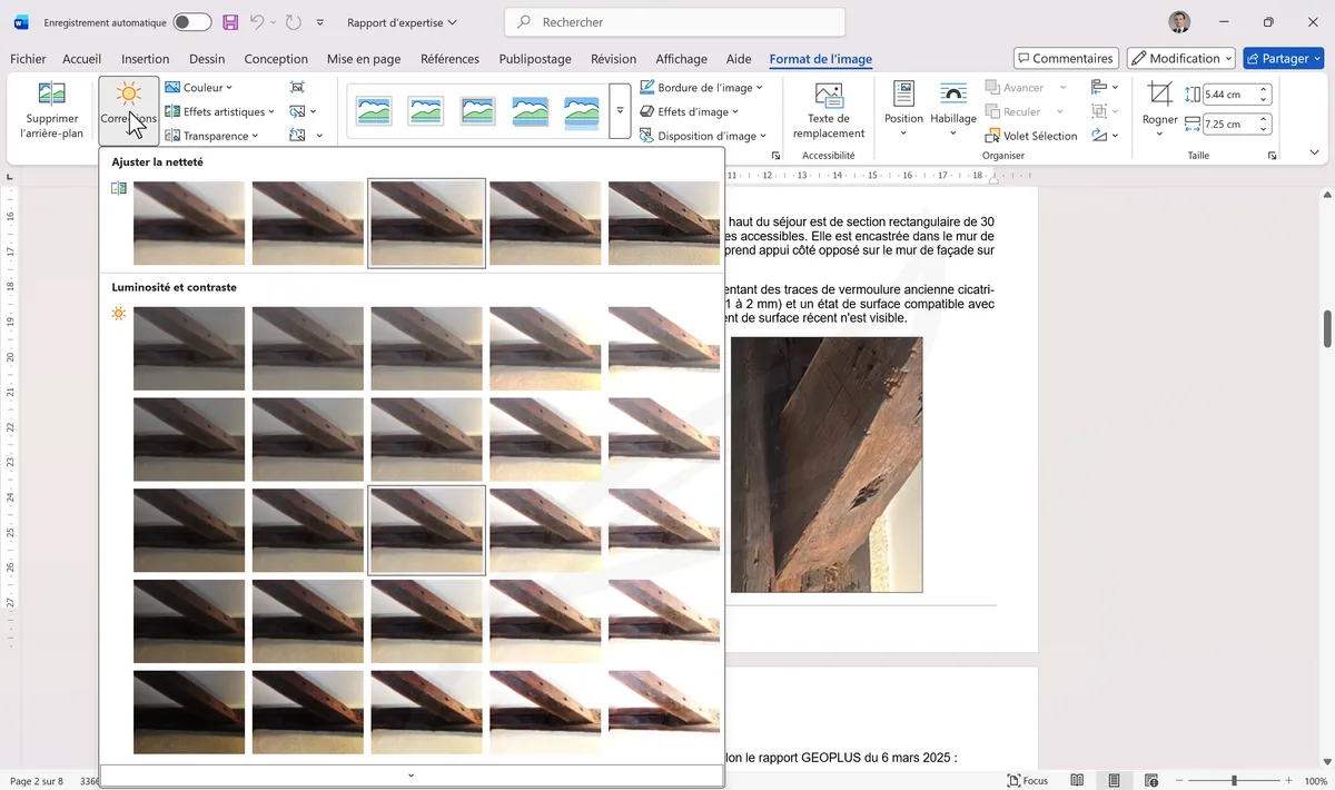 Galerie Corrections avec miniatures de luminosité/contraste