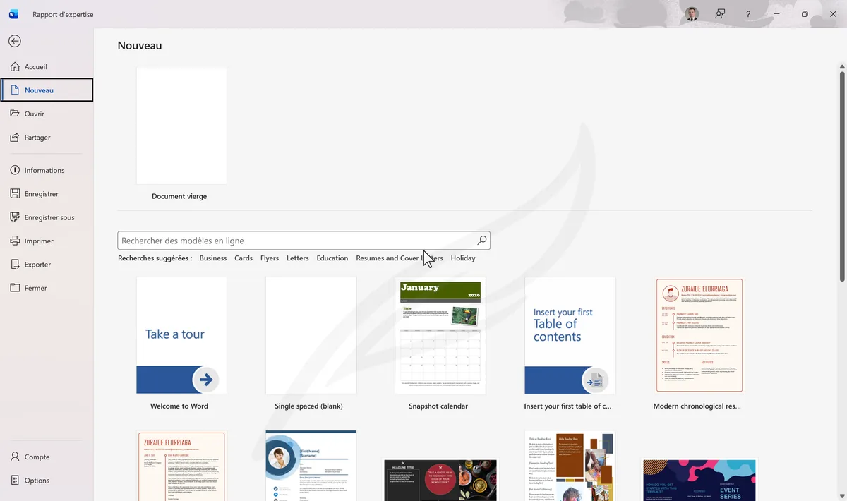 Onglet Personnel avec le modèle Rapport Expertise