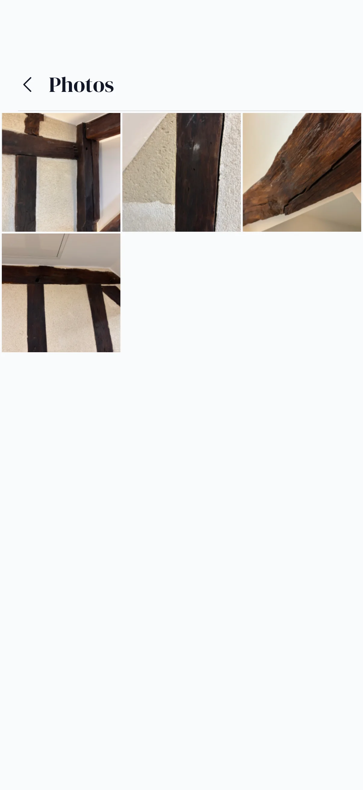 Capture d'écran Sapitor